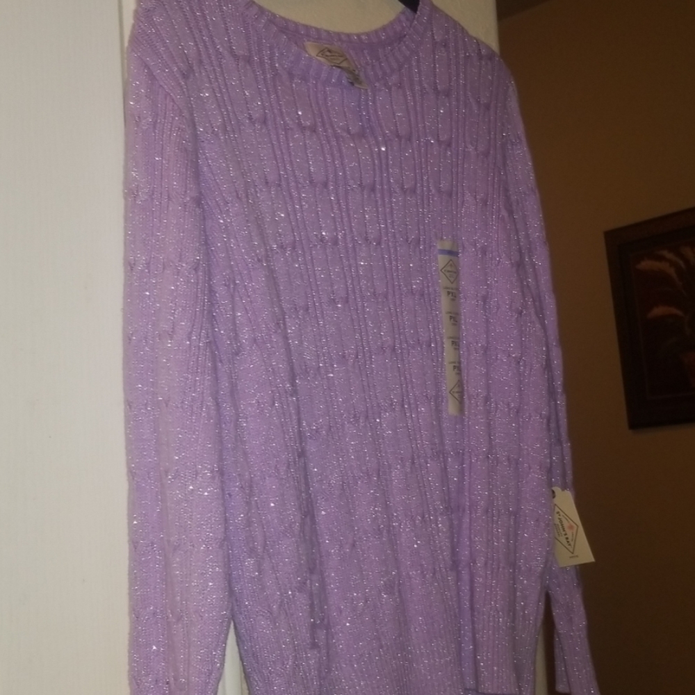 *NWT* STJOHNS BAY-Petite PXL CREW Sweater SPARKLES